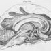 Habits of Mind